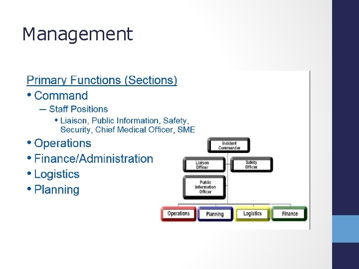 Management 