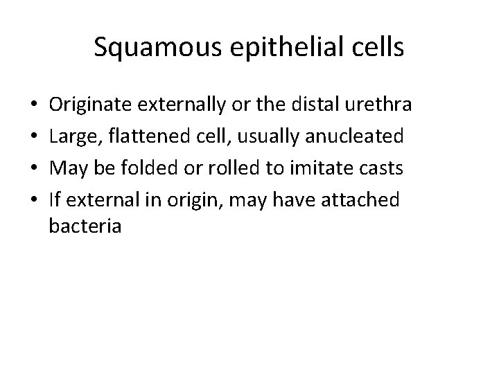 Squamous epithelial cells • • Originate externally or the distal urethra Large, flattened cell,