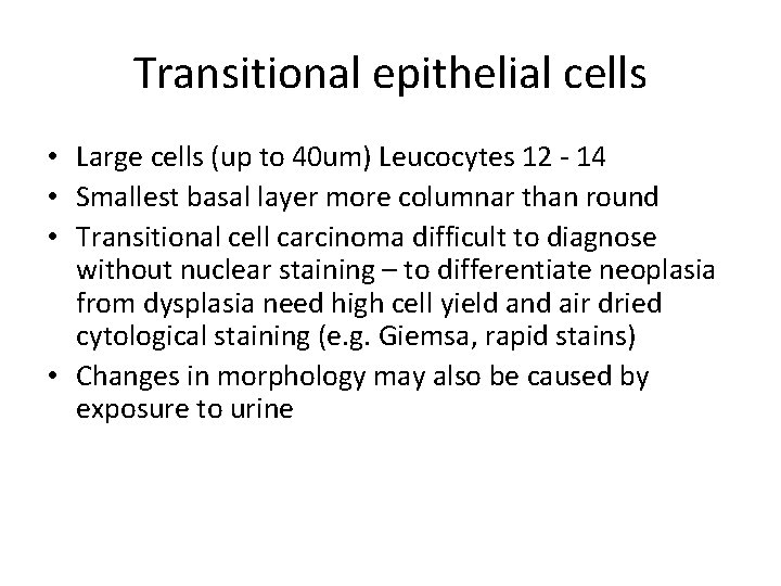 Transitional epithelial cells • Large cells (up to 40 um) Leucocytes 12 - 14