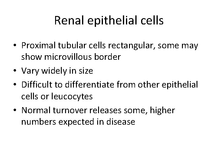 Renal epithelial cells • Proximal tubular cells rectangular, some may show microvillous border •