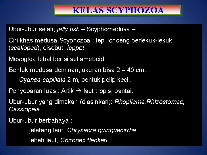 KELAS SCYPHOZOA Ubur-ubur sejati, jelly fish – Scyphomedusa –. Ciri khas medusa Scyphozoa :