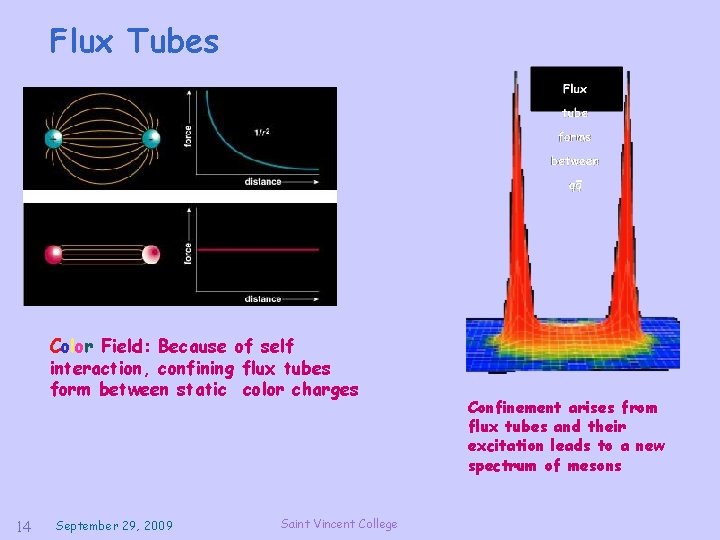 Flux Tubes Color Field: Because of self interaction, confining flux tubes form between static