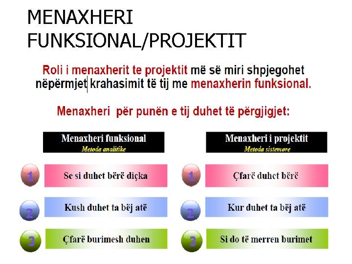 MENAXHERI FUNKSIONAL/PROJEKTIT 