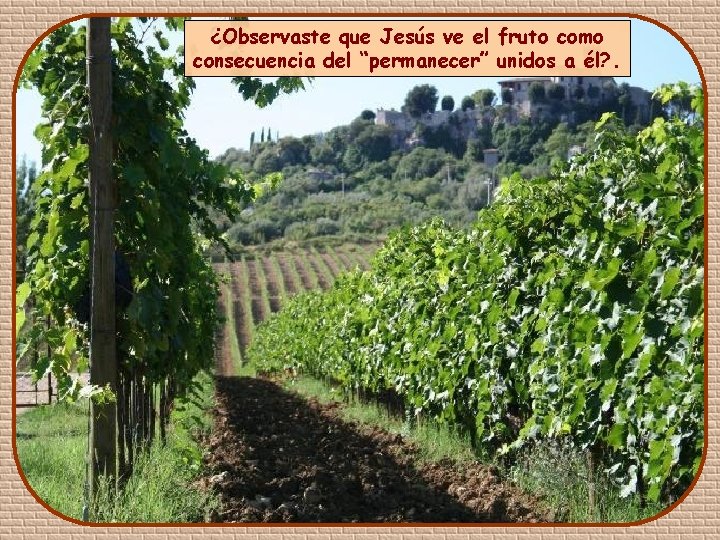 ¿Observaste que Jesús ve el fruto como consecuencia del “permanecer” unidos a él? .