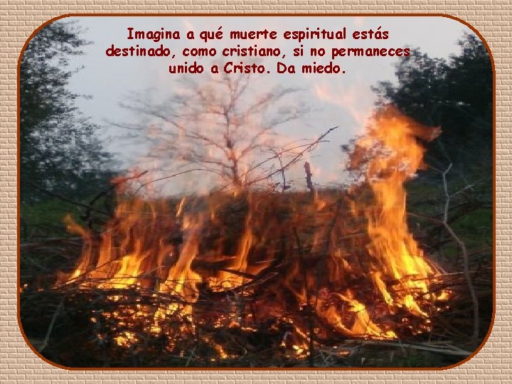 Imagina a qué muerte espiritual estás destinado, como cristiano, si no permaneces unido a