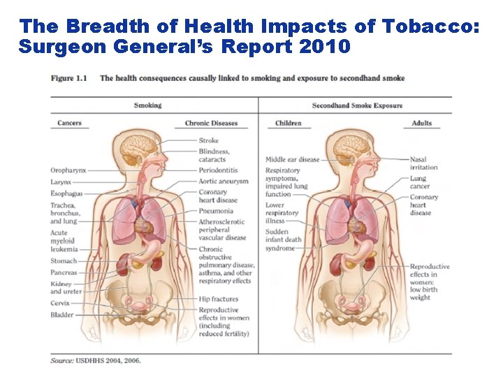 The Breadth of Health Impacts of Tobacco: Surgeon General’s Report 2010 