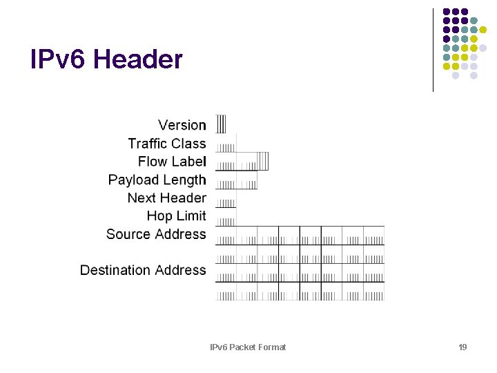 IPv 6 Header IPv 6 Packet Format 19 