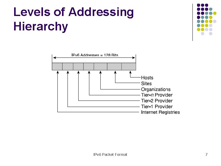 Levels of Addressing Hierarchy IPv 6 Packet Format 7 