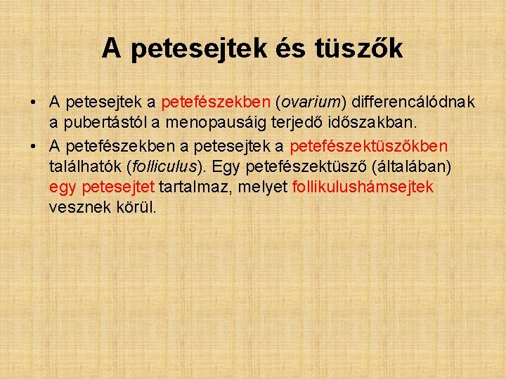 A petesejtek és tüszők • A petesejtek a petefészekben (ovarium) differencálódnak a pubertástól a A petesejtek és tüszők • A petesejtek a petefészekben (ovarium) differencálódnak a pubertástól a