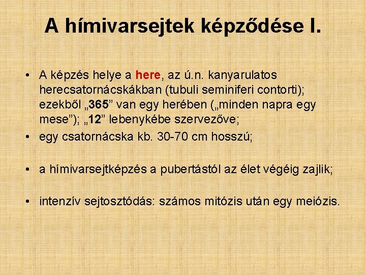 A hímivarsejtek képződése I. • A képzés helye a here, az ú. n. kanyarulatos