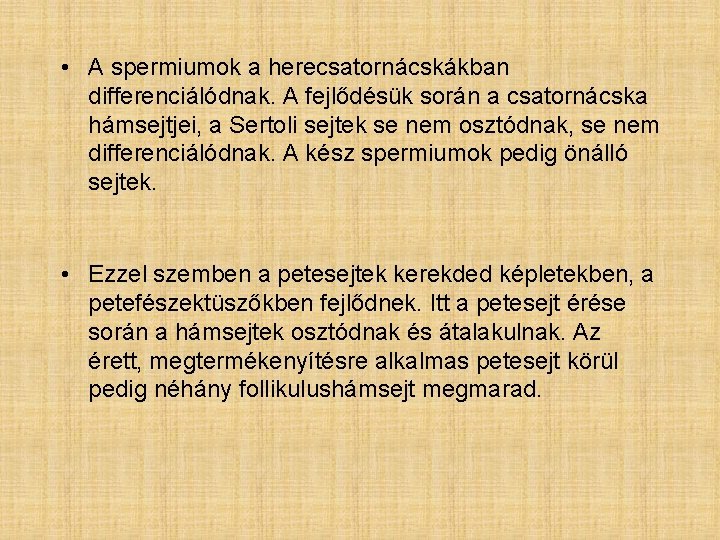  • A spermiumok a herecsatornácskákban differenciálódnak. A fejlődésük során a csatornácska hámsejtjei, a