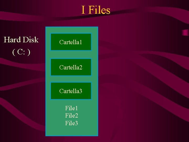 I Files Hard Disk ( C: ) Cartella 1 Cartella 2 Cartella 3 File