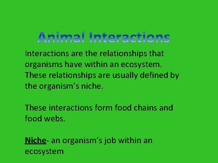 Interactions are the relationships that organisms have within an ecosystem. These relationships are usually