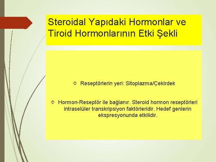 Steroidal Yapıdaki Hormonlar ve Tiroid Hormonlarının Etki Şekli Reseptörlerin yeri: Sitoplazma/Çekirdek Hormon-Reseptör ile bağlanır.