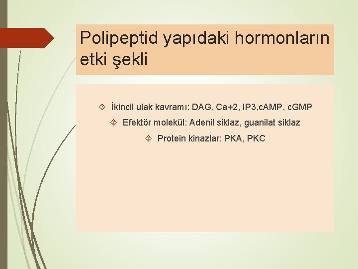 Polipeptid yapıdaki hormonların etki şekli İkincil ulak kavramı: DAG, Ca+2, IP 3, c. AMP,