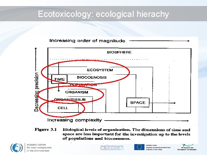 Ecotoxicology: ecological hierachy 