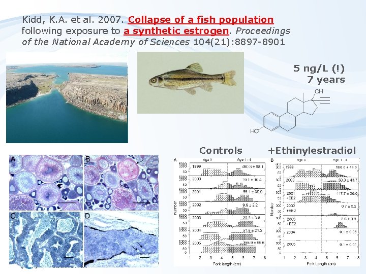 Kidd, K. A. et al. 2007. Collapse of a fish population following exposure to