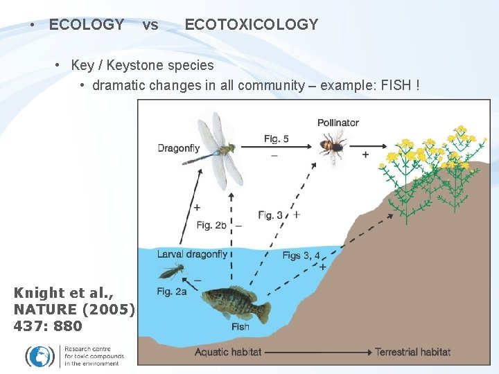  • ECOLOGY vs ECOTOXICOLOGY • Key / Keystone species • dramatic changes in