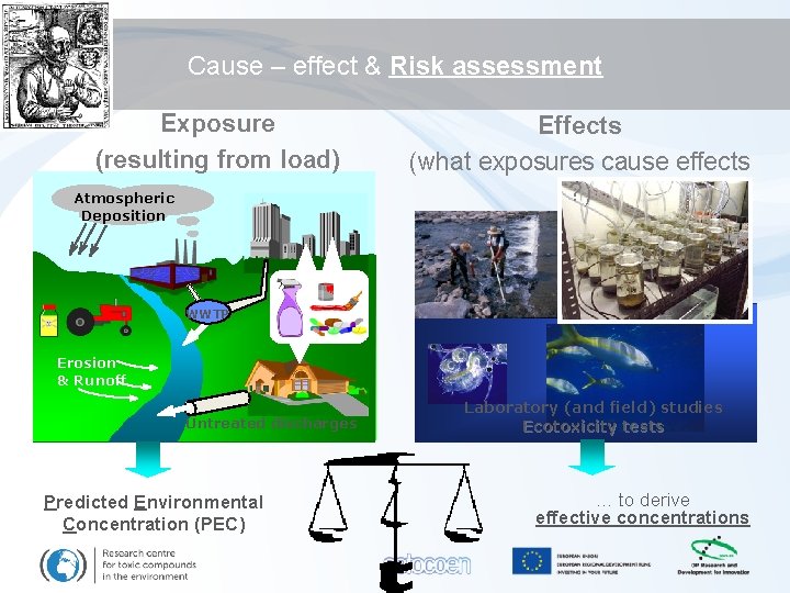 Cause – effect & Risk assessment Exposure (resulting from load) Atmospheric Deposition Effects (what