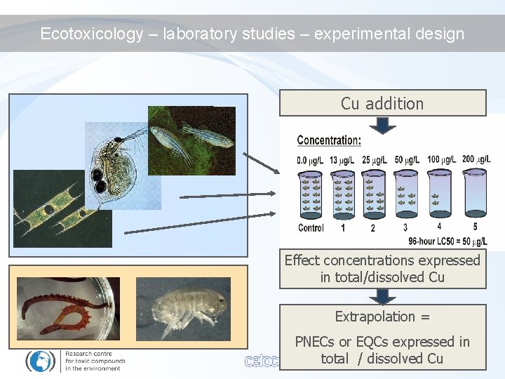 Ecotoxicology – laboratory studies – experimental design Cu addition Effect concentrations expressed in total/dissolved