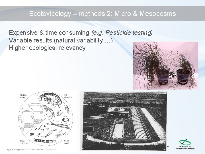 Ecotoxicology – methods 2: Micro & Mesocosms Expensive & time consuming (e. g. Pesticide