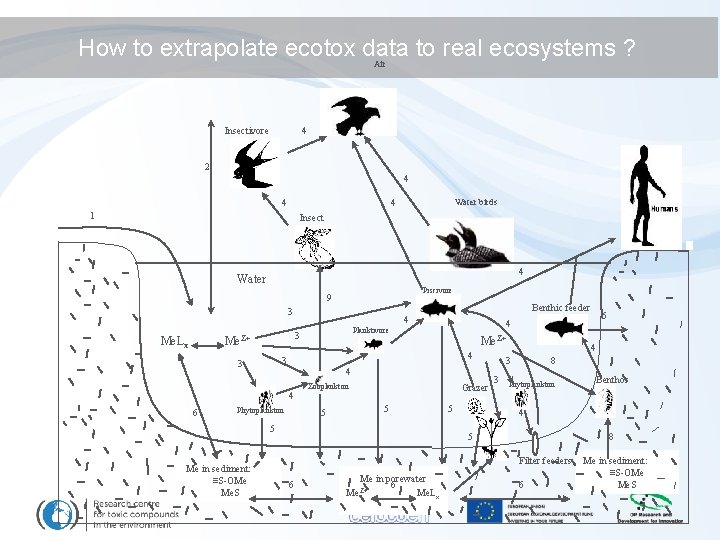 How to extrapolate ecotox data to real ecosystems ? Air Insectivore 4 2 4