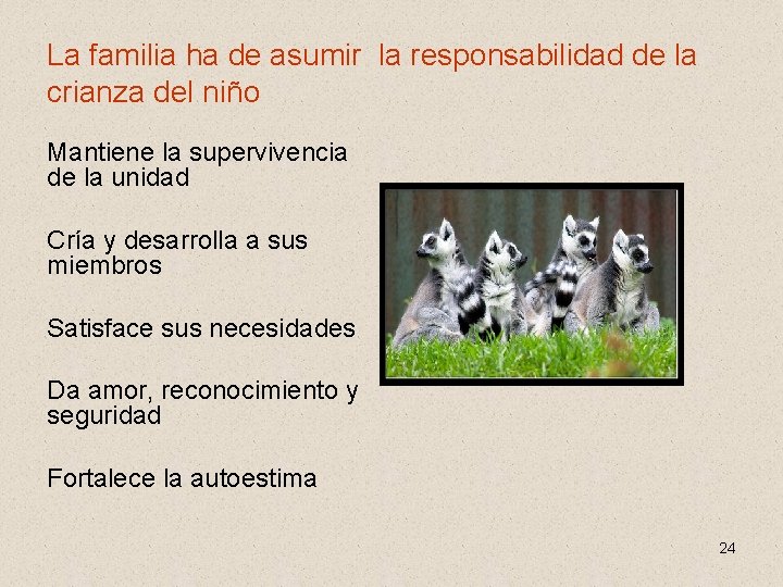 La familia ha de asumir la responsabilidad de la crianza del niño Mantiene la