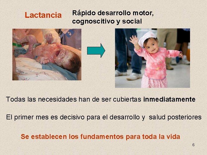 Lactancia Rápido desarrollo motor, cognoscitivo y social Todas las necesidades han de ser cubiertas