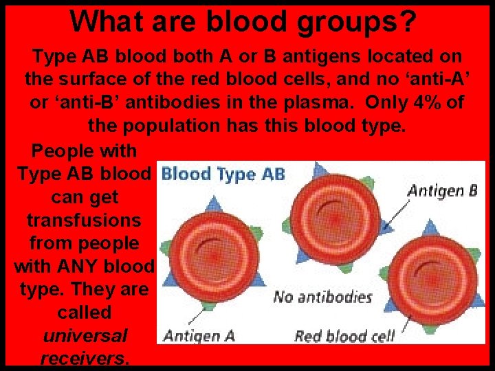 What are blood groups? Type AB blood both A or B antigens located on