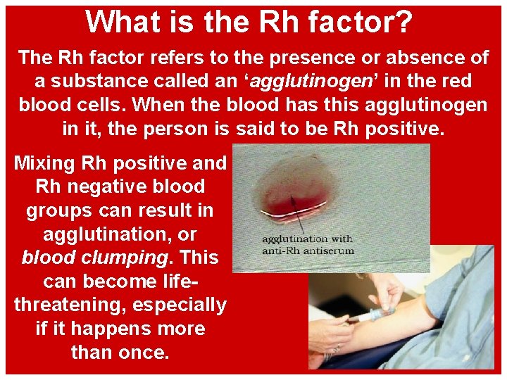 What is the Rh factor? The Rh factor refers to the presence or absence