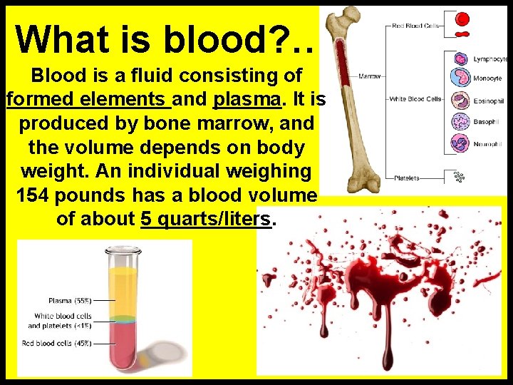 What is blood? … Blood is a fluid consisting of formed elements and plasma.