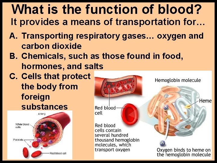 What is the function of blood? It provides a means of transportation for… A.