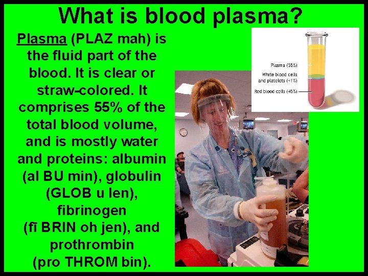 What is blood plasma? Plasma (PLAZ mah) is the fluid part of the blood.