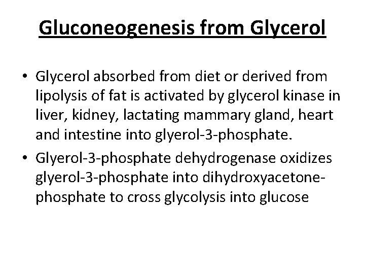 Gluconeogenesis from Glycerol • Glycerol absorbed from diet or derived from lipolysis of fat