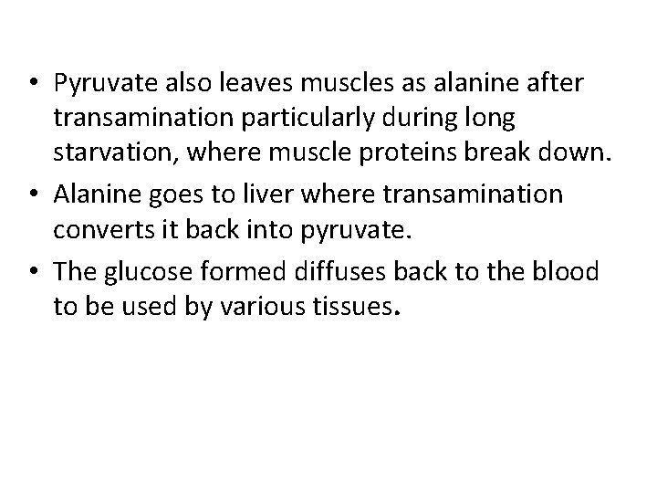  • Pyruvate also leaves muscles as alanine after transamination particularly during long starvation,