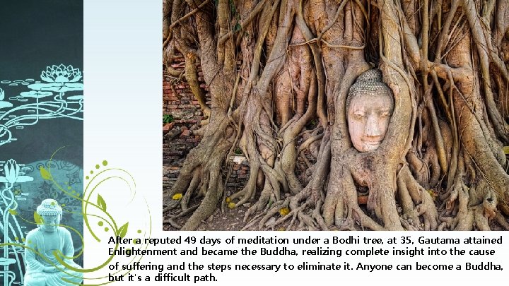 After a reputed 49 days of meditation under a Bodhi tree, at 35, Gautama