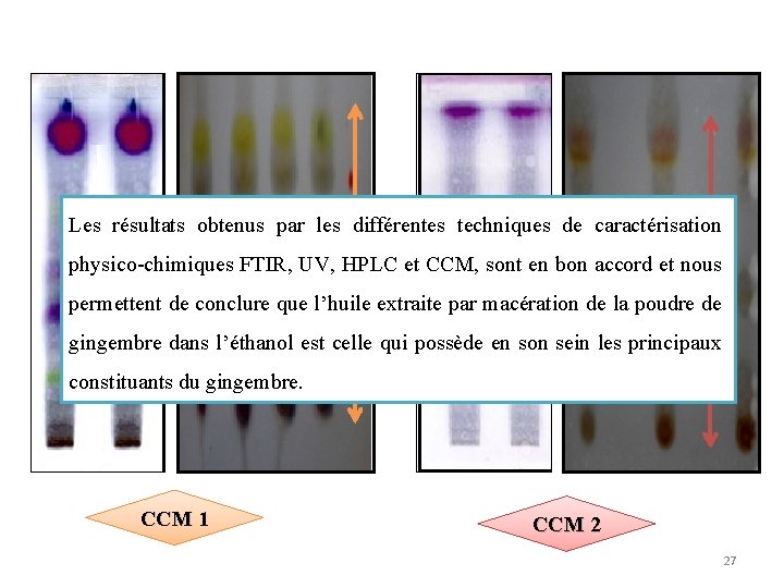 Les résultats obtenus par les différentes techniques de caractérisation Rf physico-chimiques FTIR, UV, HPLC