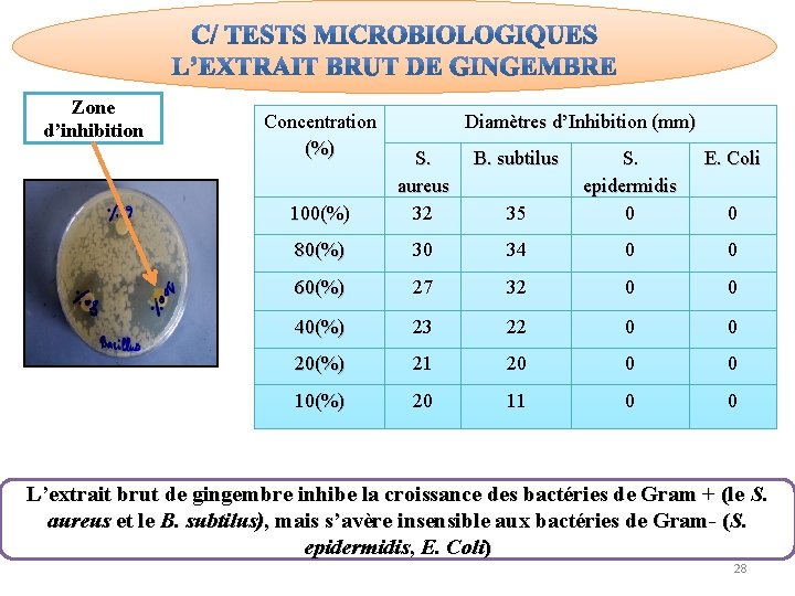 Zone d’inhibition Concentration (%) Diamètres d’Inhibition (mm) B. subtilus 100(%) S. aureus 32 E.