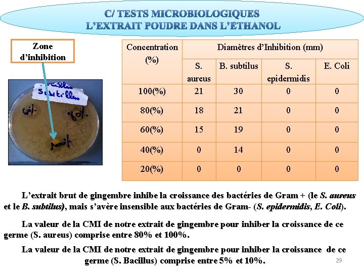 Zone d’inhibition Concentration (%) 100(%) Diamètres d’Inhibition (mm) S. B. subtilus S. aureus epidermidis