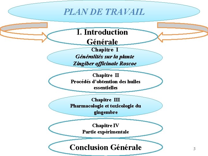 PLAN DE TRAVAIL I. Introduction Générale Chapitre I Généralités sur la plante Zingiber officinale