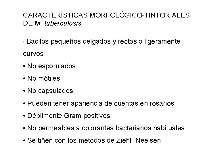 CARACTERÍSTICAS MORFOLÓGICO-TINTORIALES DE M. tuberculosis • Bacilos pequeños delgados y rectos o ligeramente curvos