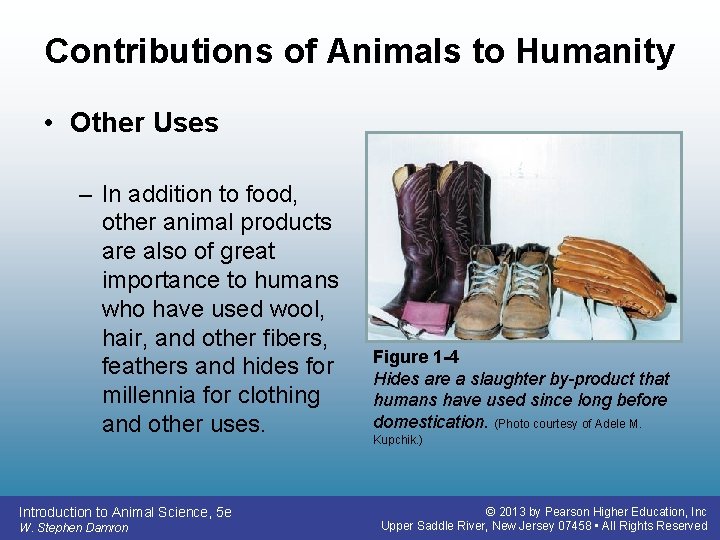 Contributions of Animals to Humanity • Other Uses – In addition to food, other