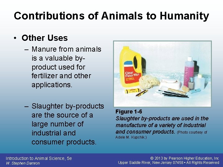 Contributions of Animals to Humanity • Other Uses – Manure from animals is a
