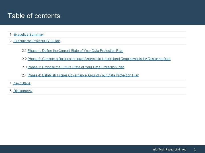 Table of contents 1. Executive Summary 2. Execute the Project/DIY Guide 2. 1 Phase