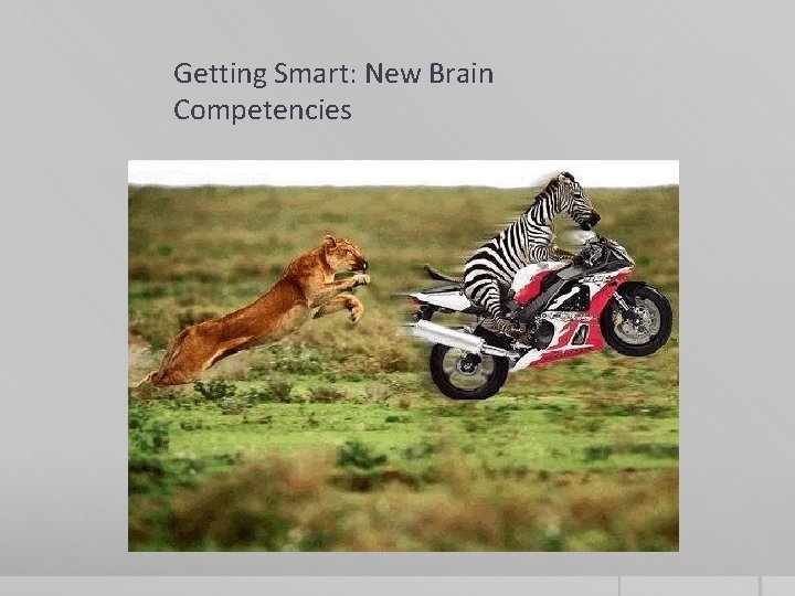 Getting Smart: New Brain Competencies 