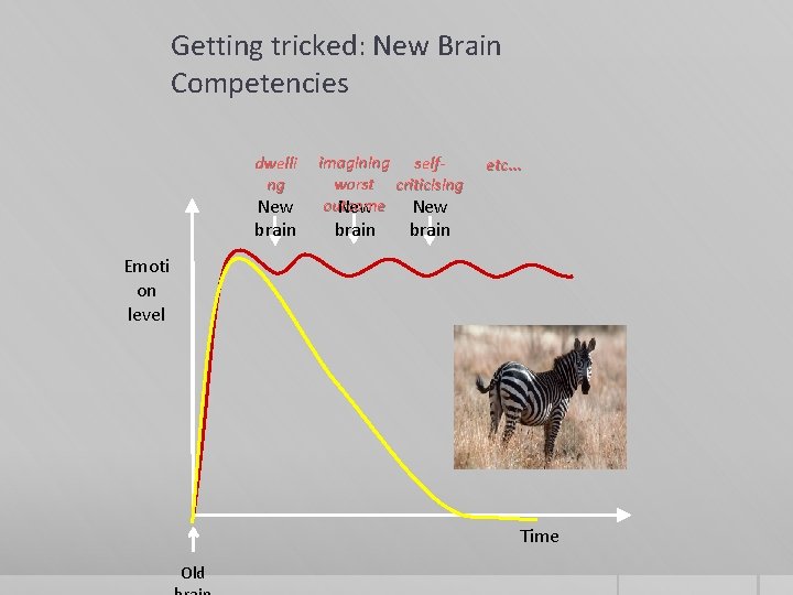 Getting tricked: New Brain Competencies dwelli ng New brain imagining selfworst criticising outcome New