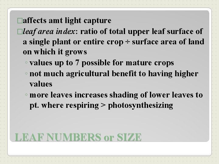 �affects amt light capture �leaf area index: ratio of total upper leaf surface of