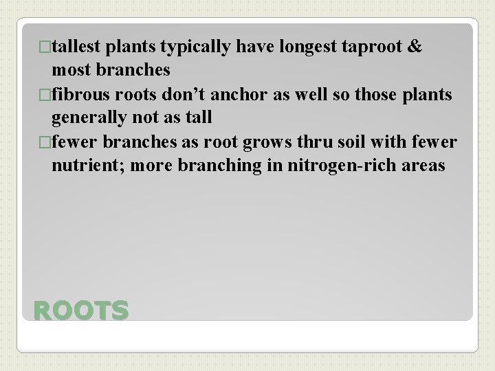 �tallest plants typically have longest taproot & most branches �fibrous roots don’t anchor as