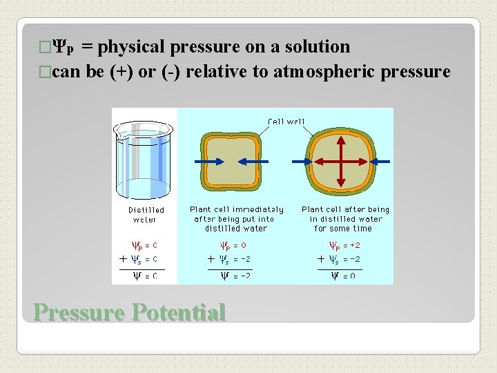 �Ψp = physical pressure on a solution �can be (+) or (-) relative to