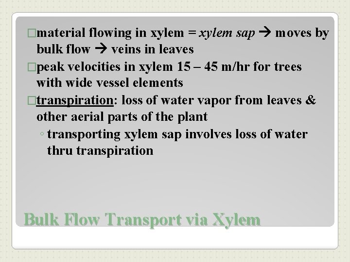 flowing in xylem = xylem sap moves by bulk flow veins in leaves �peak